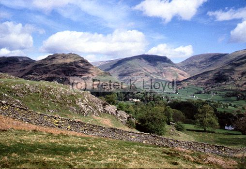 Sheep in meadow with back-drop of high fells near Troutbeck Lake District Cumbria