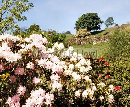 View from garden in Troutbeck Lake District Cumbria